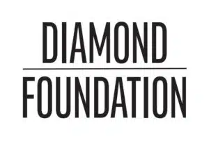 DF Logo PMS.ai pages