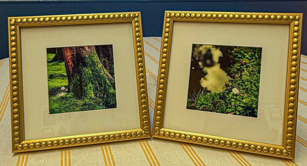 Sophie German Photographs