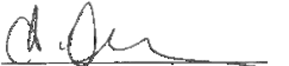 Kseniya Signature
